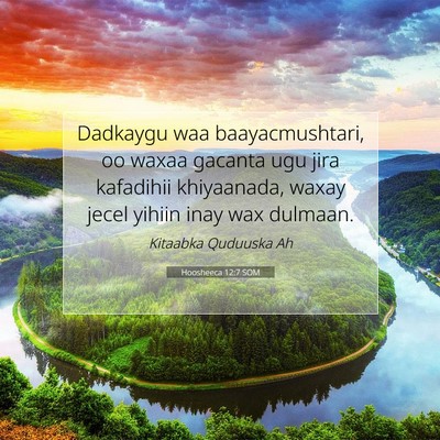 Picture 07 - Hoosheeca 12:7 SOM - Dadkaygu waa baayacmushtari, oo waxaa gacanta ugu - Bible Verse Picture