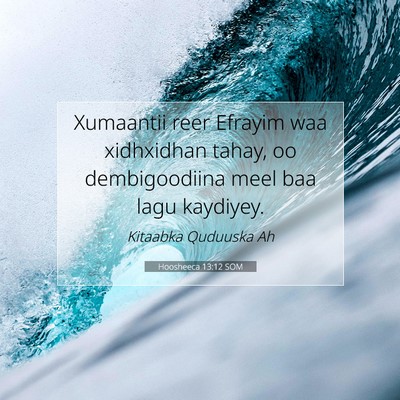 Picture 07 - Hoosheeca 13:12 SOM - Xumaantii reer Efrayim waa xidhxidhan tahay, oo - Bible Verse Picture