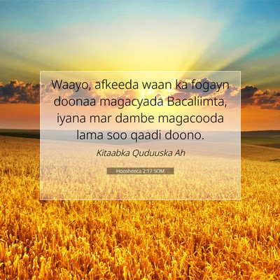 Picture 07 - Hoosheeca 2:17 SOM - Waayo, afkeeda waan ka fogayn doonaa magacyada - Bible Verse Picture