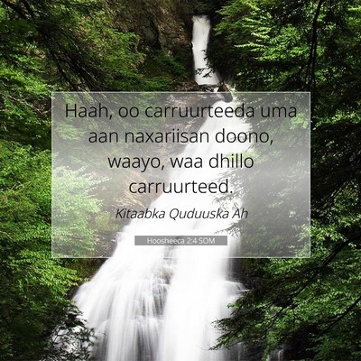 Picture 07 - Hoosheeca 2:4 SOM - Haah, oo carruurteeda uma aan naxariisan doono, - Bible Verse Picture