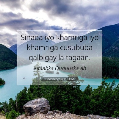 Picture 07 - Hoosheeca 4:11 SOM - Sinada iyo khamriga iyo khamriga cusububa - Bible Verse Picture