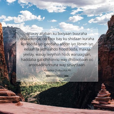 Picture 07 - Hoosheeca 4:13 SOM - Waxay allabari ku bixiyaan buuraha dhaladooda, oo - Bible Verse Picture