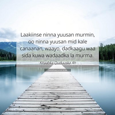 Picture 07 - Hoosheeca 4:4 SOM - Laakiinse ninna yuusan murmin, oo ninna yuusan - Bible Verse Picture