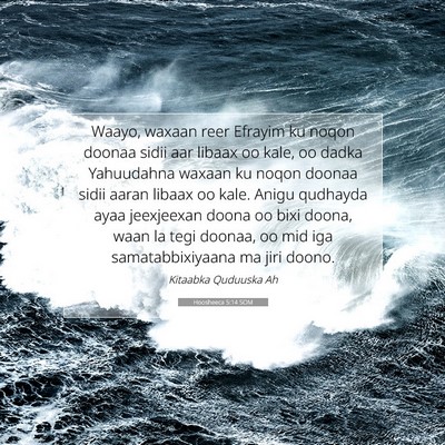 Picture 07 - Hoosheeca 5:14 SOM - Waayo, waxaan reer Efrayim ku noqon doonaa sidii - Bible Verse Picture