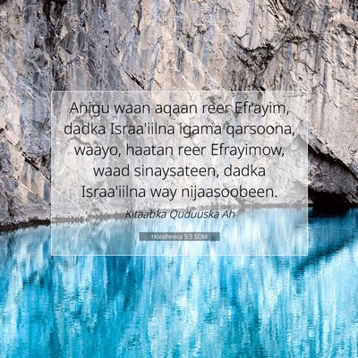 Picture 07 - Hoosheeca 5:3 SOM - Anigu waan aqaan reer Efrayim, dadka Israa'iilna - Bible Verse Picture
