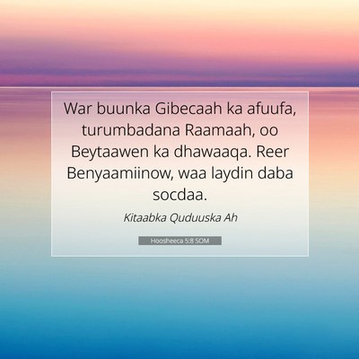 Picture 07 - Hoosheeca 5:8 SOM - War buunka Gibecaah ka afuufa, turumbadana - Bible Verse Picture