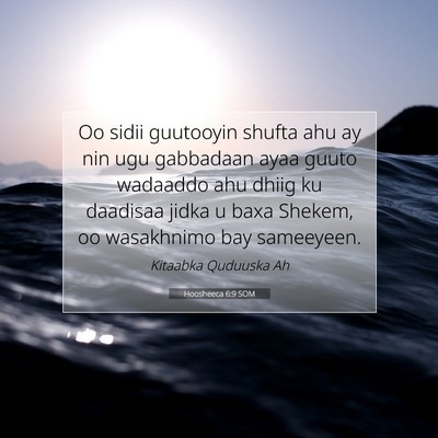 Picture 07 - Hoosheeca 6:9 SOM - Oo sidii guutooyin shufta ahu ay nin ugu - Bible Verse Picture