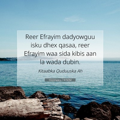 Picture 07 - Hoosheeca 7:8 SOM - Reer Efrayim dadyowguu isku dhex qasaa, reer - Bible Verse Picture