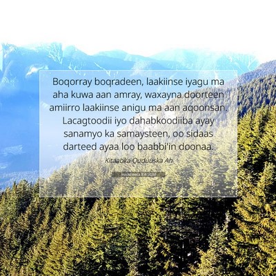 Picture 07 - Hoosheeca 8:4 SOM - Boqorray boqradeen, laakiinse iyagu ma aha kuwa - Bible Verse Picture