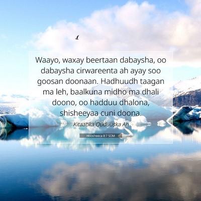 Picture 07 - Hoosheeca 8:7 SOM - Waayo, waxay beertaan dabaysha, oo dabaysha - Bible Verse Picture