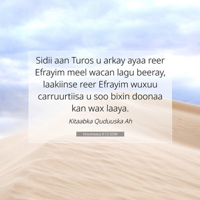 Picture 07 - Hoosheeca 9:13 SOM - Sidii aan Turos u arkay ayaa reer Efrayim meel - Bible Verse Picture