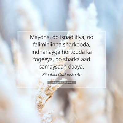 Picture 07 - Ishacyaah 1:16 SOM - Maydha, oo isnadiifiya, oo falimihiinna - Bible Verse Picture