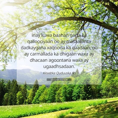 Picture 07 - Ishacyaah 10:2 SOM - inay kuwa baahan garta ka qalloociyaan oo ay - Bible Verse Picture