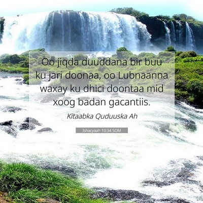 Picture 07 - Ishacyaah 10:34 SOM - Oo jiqda duuddana bir buu ku jari doonaa, oo - Bible Verse Picture