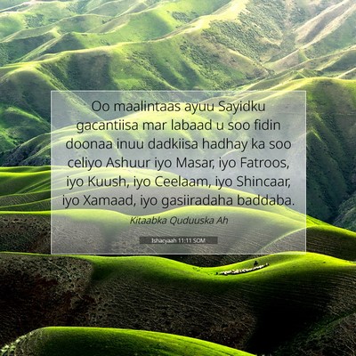 Picture 07 - Ishacyaah 11:11 SOM - Oo maalintaas ayuu Sayidku gacantiisa mar labaad - Bible Verse Picture