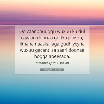 Picture 07 - Ishacyaah 11:8 SOM - Oo caanonuuggu wuxuu ku dul cayaari doonaa godka - Bible Verse Picture
