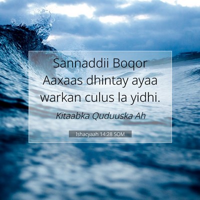 Picture 07 - Ishacyaah 14:28 SOM - Sannaddii Boqor Aaxaas dhintay ayaa warkan culus - Bible Verse Picture