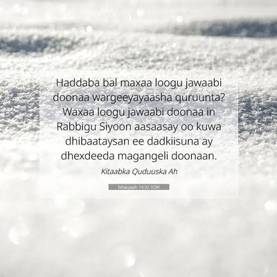 Picture 07 - Ishacyaah 14:32 SOM - Haddaba bal maxaa loogu jawaabi doonaa - Bible Verse Picture