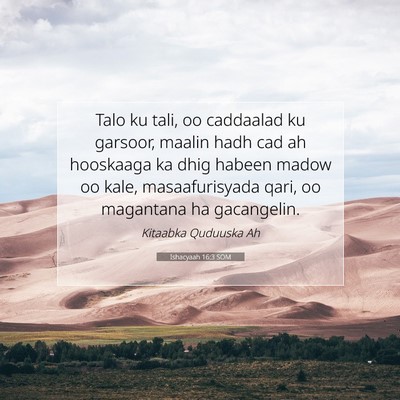 Picture 07 - Ishacyaah 16:3 SOM - Talo ku tali, oo caddaalad ku garsoor, maalin - Bible Verse Picture