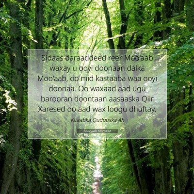 Picture 07 - Ishacyaah 16:7 SOM - Sidaas daraaddeed reer Moo'aab waxay u ooyi - Bible Verse Picture