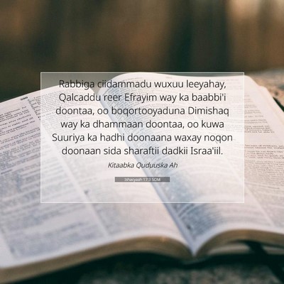 Picture 07 - Ishacyaah 17:3 SOM - Rabbiga ciidammadu wuxuu leeyahay, Qalcaddu reer - Bible Verse Picture