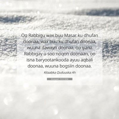 Picture 07 - Ishacyaah 19:22 SOM - Oo Rabbigu wax buu Masar ku dhufan doonaa, wax - Bible Verse Picture