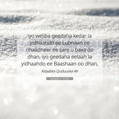 Picture 07 - Ishacyaah 2:13 SOM - iyo weliba geedaha kedar la yidhaahdo ee Lubnaan - Bible Verse Picture