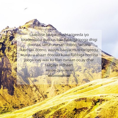Picture 07 - Ishacyaah 23:18 SOM - Laakiinse baayacmushtarigeeda iyo kiradeedaba - Bible Verse Picture
