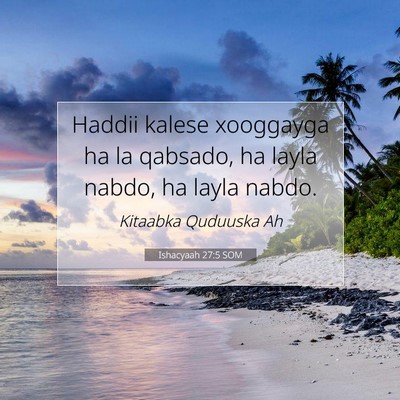 Picture 07 - Ishacyaah 27:5 SOM - Haddii kalese xooggayga ha la qabsado, ha layla - Bible Verse Picture