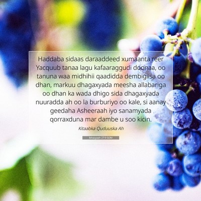 Picture 07 - Ishacyaah 27:9 SOM - Haddaba sidaas daraaddeed xumaanta reer Yacquub - Bible Verse Picture