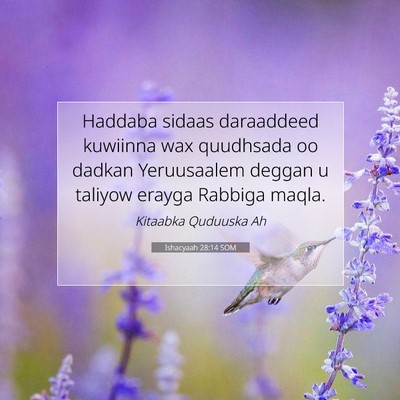 Picture 07 - Ishacyaah 28:14 SOM - Haddaba sidaas daraaddeed kuwiinna wax quudhsada - Bible Verse Picture