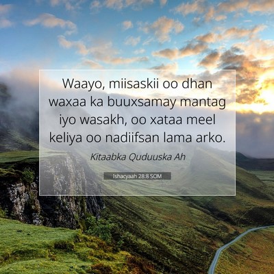 Picture 07 - Ishacyaah 28:8 SOM - Waayo, miisaskii oo dhan waxaa ka buuxsamay - Bible Verse Picture