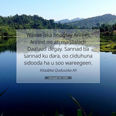 Picture 07 - Ishacyaah 29:1 SOM - Waxaa iska hoogtay Arii'eel, Arii'eel oo ah - Bible Verse Picture