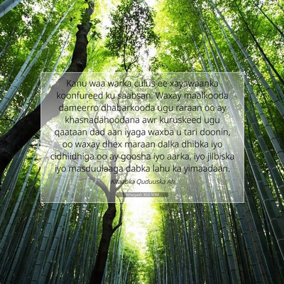 Picture 07 - Ishacyaah 30:6 SOM - Kanu waa warka culus ee xayawaanka koonfureed ku - Bible Verse Picture