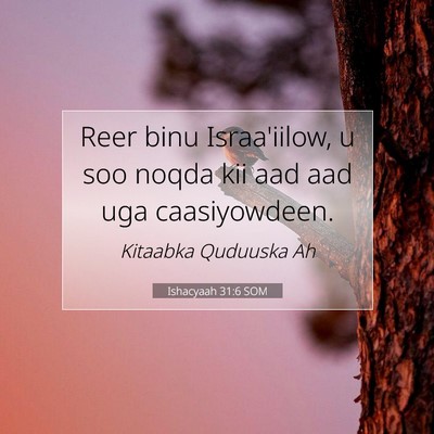 Picture 07 - Ishacyaah 31:6 SOM - Reer binu Israa'iilow, u soo noqda kii aad aad - Bible Verse Picture