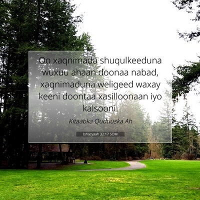 Picture 07 - Ishacyaah 32:17 SOM - Oo xaqnimada shuqulkeeduna wuxuu ahaan doonaa - Bible Verse Picture