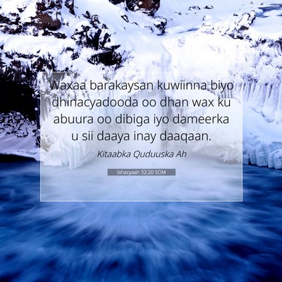 Picture 07 - Ishacyaah 32:20 SOM - Waxaa barakaysan kuwiinna biyo dhinacyadooda oo - Bible Verse Picture