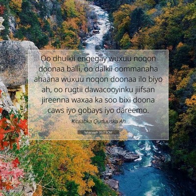 Picture 07 - Ishacyaah 35:7 SOM - Oo dhulkii engegay wuxuu noqon doonaa balli, oo - Bible Verse Picture