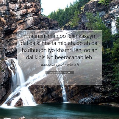 Picture 07 - Ishacyaah 36:17 SOM - intaanan iman oo idiin kaxayn dal dalkiinna la - Bible Verse Picture