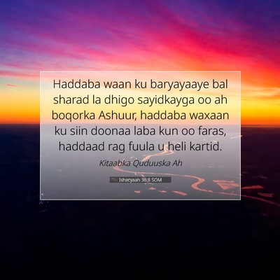 Picture 07 - Ishacyaah 36:8 SOM - Haddaba waan ku baryayaaye bal sharad la dhigo - Bible Verse Picture
