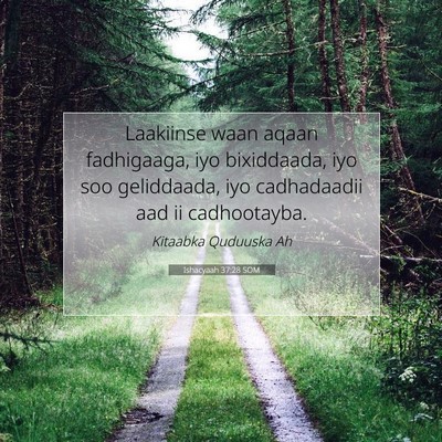 Picture 07 - Ishacyaah 37:28 SOM - Laakiinse waan aqaan fadhigaaga, iyo bixiddaada, - Bible Verse Picture
