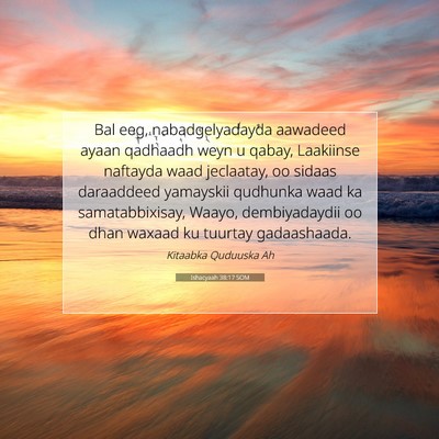 Picture 07 - Ishacyaah 38:17 SOM - Bal eeg, nabadgelyadayda aawadeed ayaan qadhaadh - Bible Verse Picture