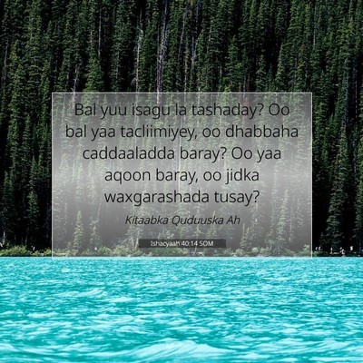 Picture 07 - Ishacyaah 40:14 SOM - Bal yuu isagu la tashaday? Oo bal yaa - Bible Verse Picture