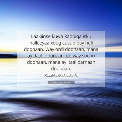 Picture 07 - Ishacyaah 40:31 SOM - Laakiinse kuwa Rabbiga isku halleeyaa xoog cusub - Bible Verse Picture
