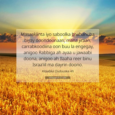 Picture 07 - Ishacyaah 41:17 SOM - Masaakiinta iyo saboolka baahanuba biyay - Bible Verse Picture