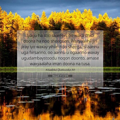 Picture 07 - Ishacyaah 41:22 SOM - Iyagu ha soo saareen, oo waxa dhici doona ha noo - Bible Verse Picture