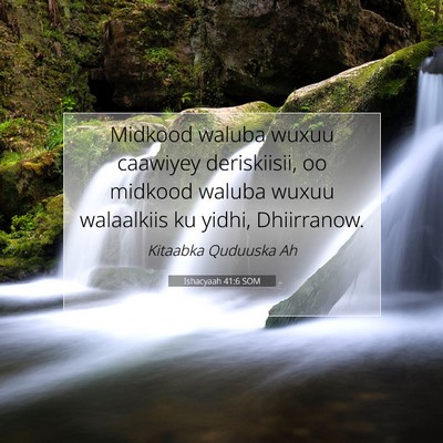 Picture 07 - Ishacyaah 41:6 SOM - Midkood waluba wuxuu caawiyey deriskiisii, oo - Bible Verse Picture