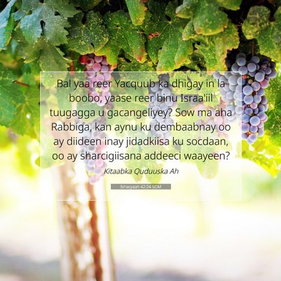 Picture 07 - Ishacyaah 42:24 SOM - Bal yaa reer Yacquub ka dhigay in la boobo, yaase - Bible Verse Picture