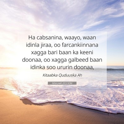Picture 07 - Ishacyaah 43:5 SOM - Ha cabsanina, waayo, waan idinla jiraa, oo - Bible Verse Picture