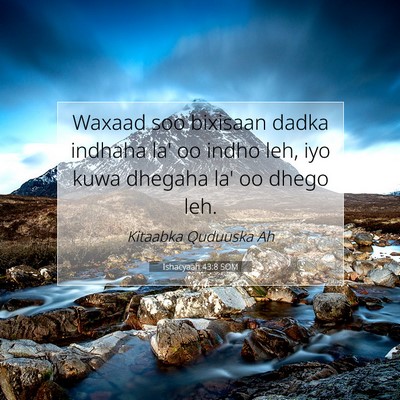 Picture 07 - Ishacyaah 43:8 SOM - Waxaad soo bixisaan dadka indhaha la' oo indho - Bible Verse Picture
